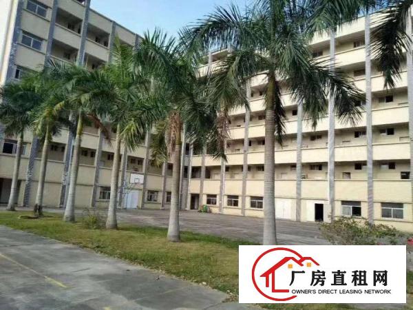  原房东标准红本厂房！带宿舍带办公楼，配电大，大路边！