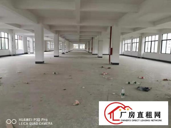  大马路边上，淡水独门独院厂房宿舍，配电500KVA好招工