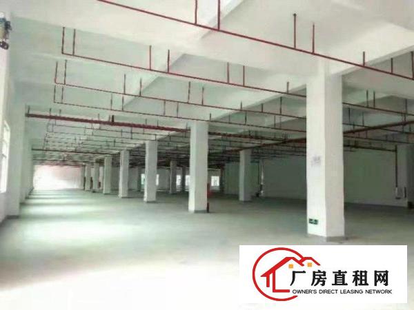  高大上！全新带红本产业园！设施齐全！惠阳厂房出租写字楼招商