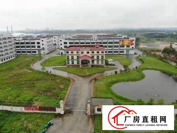  家私客户看过来！惠州红本厂房带装修出租！高大上！带环评超大电