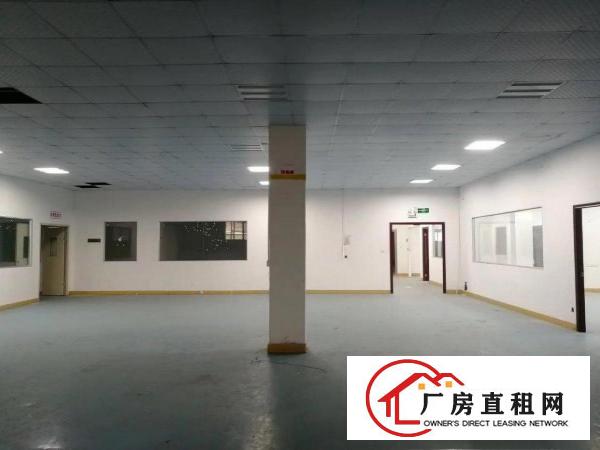  惠阳区独门独院红本标准厂房大小分租有国土证