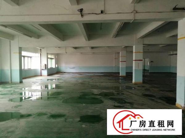  惠阳区独门独院红本标准厂房大小分租有国土证
