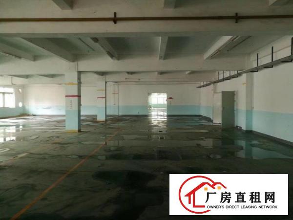  惠阳区独门独院红本标准厂房大小分租有国土证