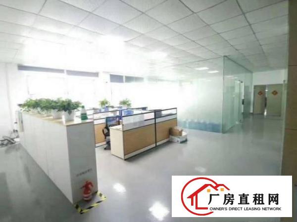  出租厂房惠阳区淡水西