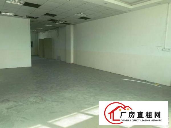  出租龙岗爱联厂房一手房东公司直租手慢无大小可分租