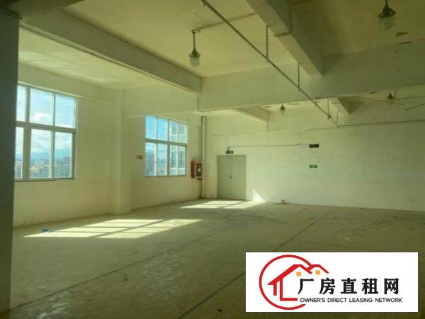  出租龙岗爱联厂房一手房东公司直租手慢无大小可分租