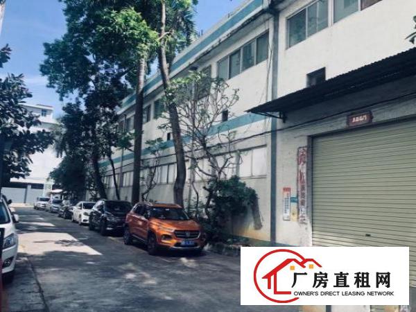  本园区2栋钢构厂房，一栋标准厂房