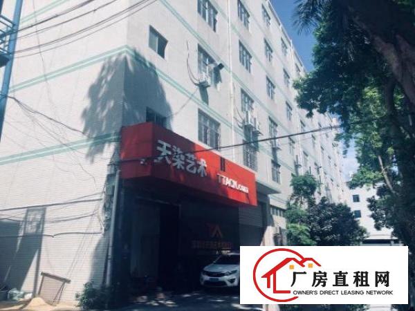  本园区2栋钢构厂房，一栋标准厂房