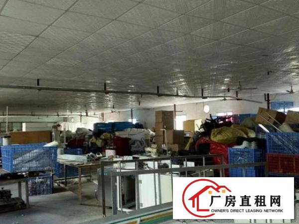  爱联如意路700平方米铁皮厂房招租