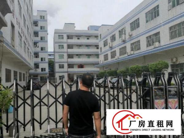  龙岗爱联原房东厂房1楼550平方厂房出租