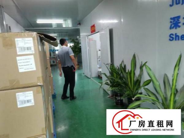  龙岗嶂背新出楼上1200平方现成装修办公室