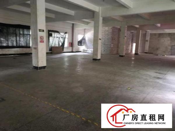  （原房东）龙岗爱联嶂背一楼760平方厂房出租！可分租