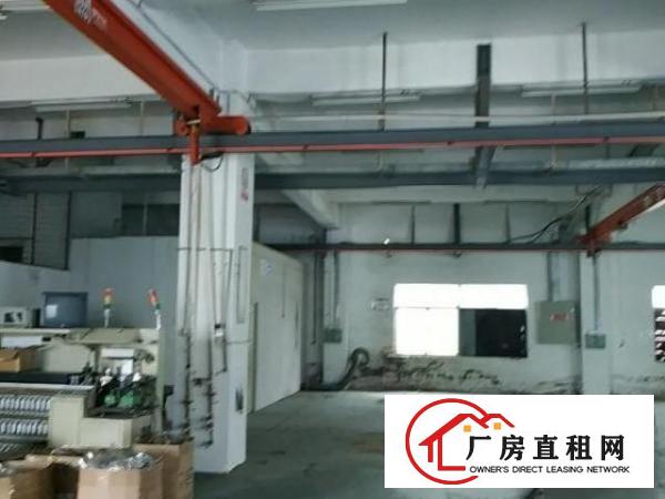  龙岗朱古石爱联工业区，1楼现成地坪漆，2楼豪华办公室。