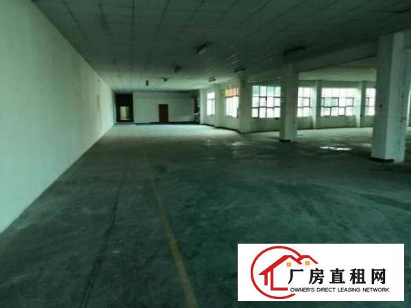  龙岗朱古石爱联工业区，1楼现成地坪漆，2楼豪华办公室。