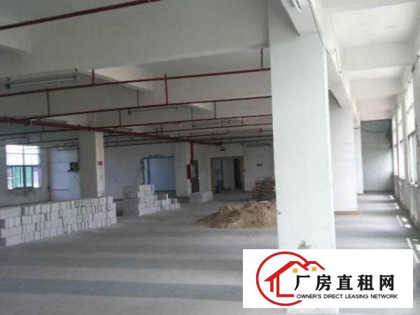  出租龙岗爱联办公厂房仓库适合淘宝仓库培训机构