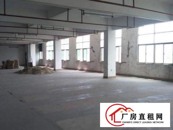  出租龙岗爱联办公厂房仓库适合淘宝仓库培训机构