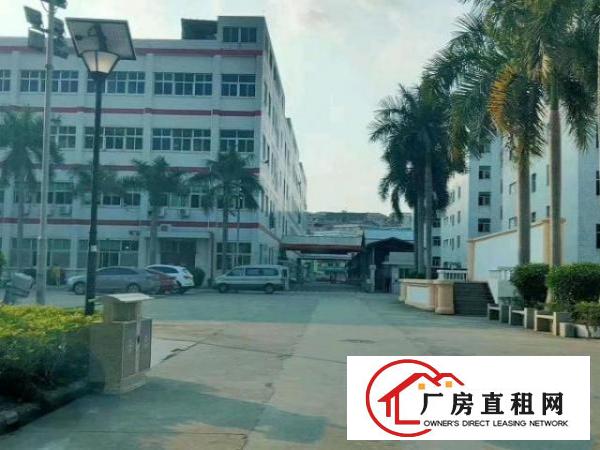  龙岗爱联嶂背原房东厂房