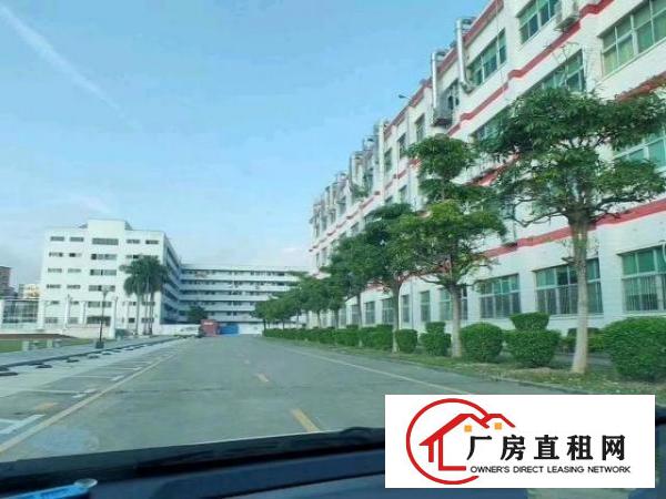  龙岗爱联嶂背原房东厂房