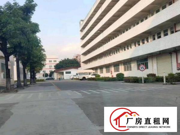  龙岗爱联嶂背原房东厂房