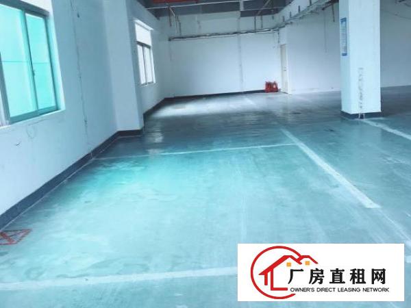  房东直租龙岗640平采光厂房无佣金