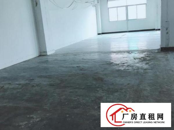  房东直租龙岗640平采光厂房无佣金