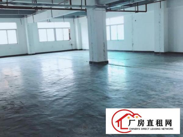  房东直租龙岗640平采光厂房无佣金