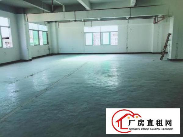  房东直租龙岗640平采光厂房无佣金
