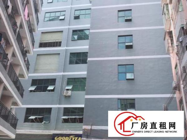  房东直租龙岗640平采光厂房无佣金