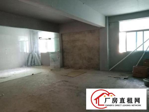  龙岗嶂背工业园厂房招租