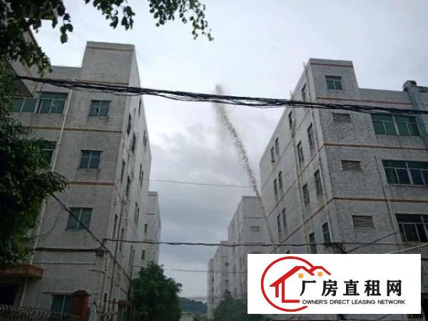  龙岗区厂房、办公室招租
