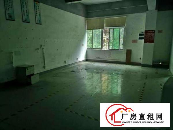  厂房出租龙岗爱联嶂背500平