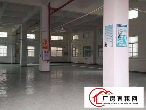  爱联新出一楼1550平方，厂房现成装修