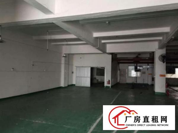  爱联一楼650平厂房出租精装修地坪漆水电齐全