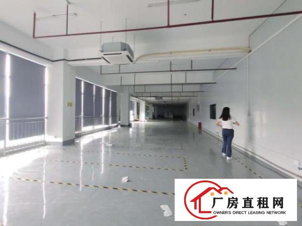  龙岗爱联地铁口无尘车间出租，带装修，价格优惠