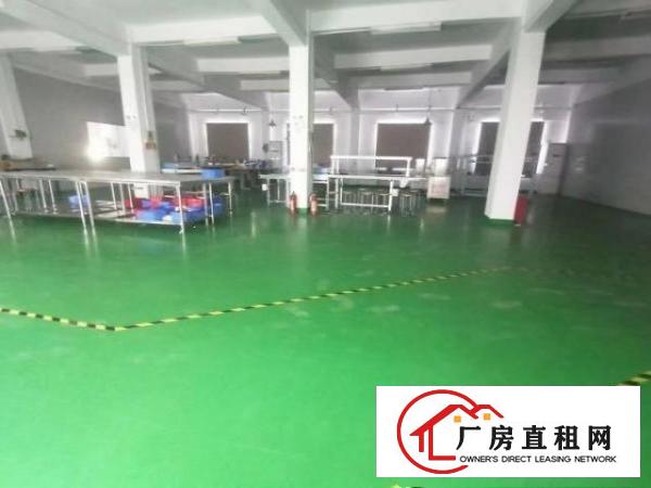  龙岗嶂背二楼800坪无尘车间出租，无需转让费