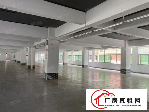  中心城志达工业园2422平厂房出租房东直租租期5年可分租