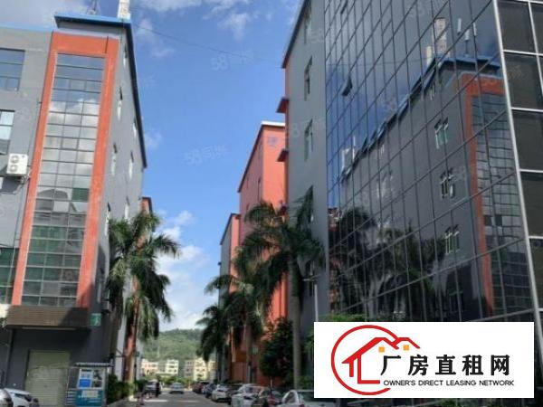  龙岗爱南路南联双龙双地铁标准厂房大型仓库业主直招