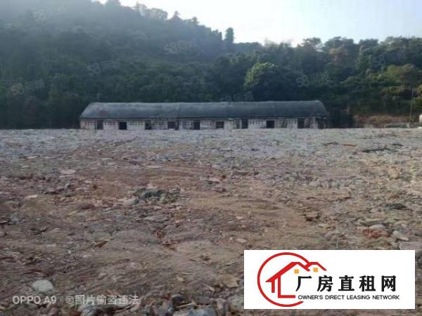  平湖山厦社区13000平空地出租证件齐全地理位置好