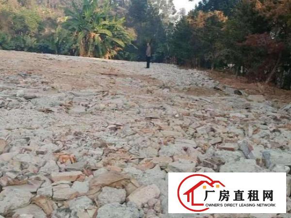  平湖山厦社区13000平空地出租证件齐全地理位置好