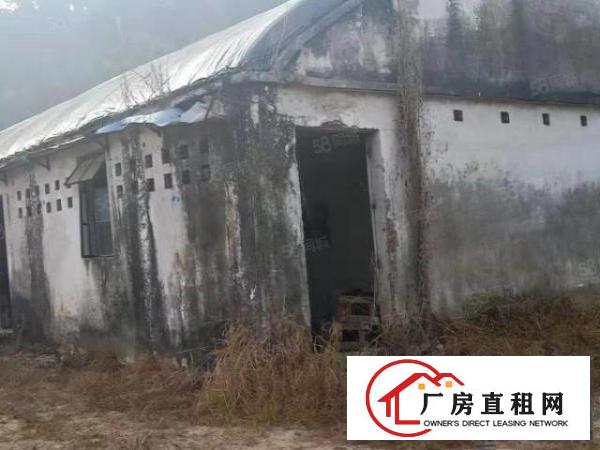  平湖山厦社区13000平空地出租证件齐全地理位置好
