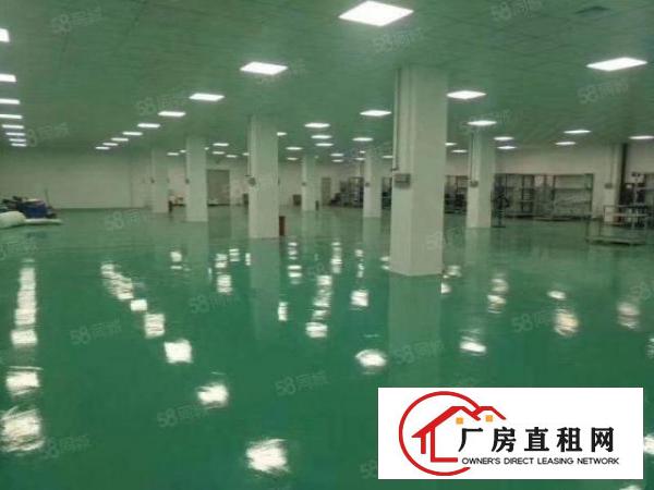  龙岗中心城南联地铁站！新600平精装修厂房