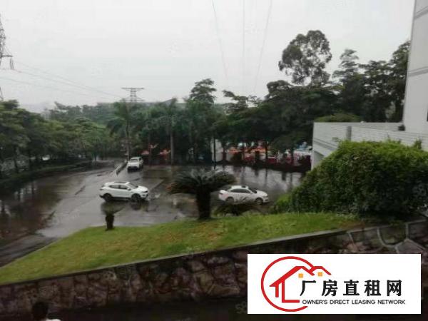  龙岗中心城爱联嶂背工业区一楼厂房1200平报价25元可分租