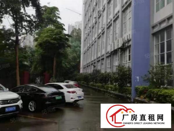  龙岗中心城爱联嶂背工业区一楼厂房1200平报价25元可分租