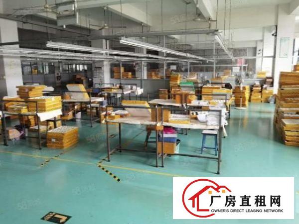  龙岗中心城爱联嶂背工业区一楼厂房1200平报价25元可分租