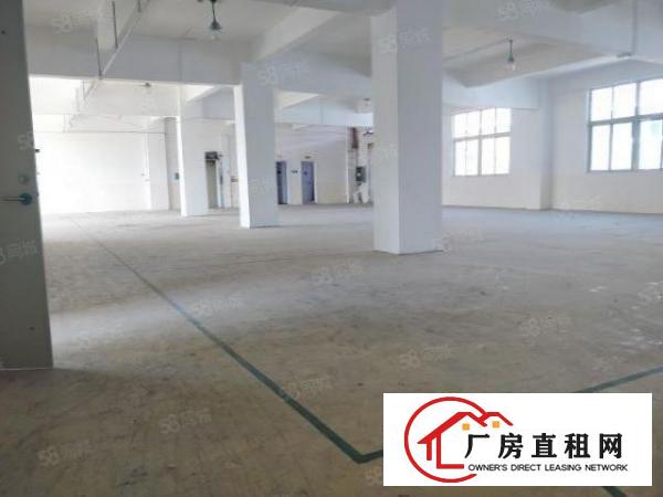  房东直租办公室厂房，写字楼，仓库，使用率高价格可谈