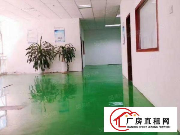  龙岗吉祥地铁口厂房4楼700m2一楼1000m2也可分租