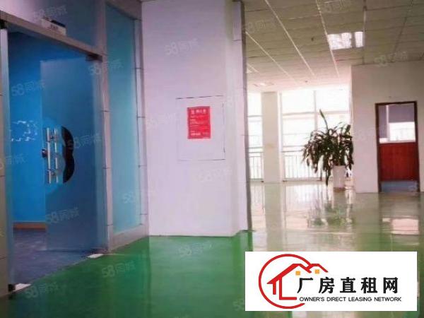  龙岗吉祥地铁口厂房4楼700m2一楼1000m2也可分租