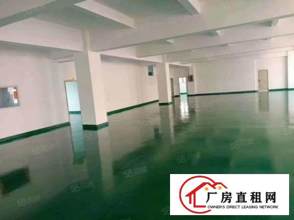  龙岗嶂背新出工业园1000平标准厂房出租国道边上带消防喷淋