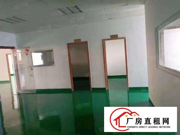  龙岗嶂背新出工业园1000平标准厂房出租国道边上带消防喷淋