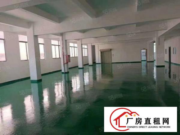  龙岗嶂背新出工业园1000平标准厂房出租国道边上带消防喷淋
